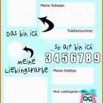 Ideal Konformitätserklärung Vorlage Pdf Freundebuch Fur Die