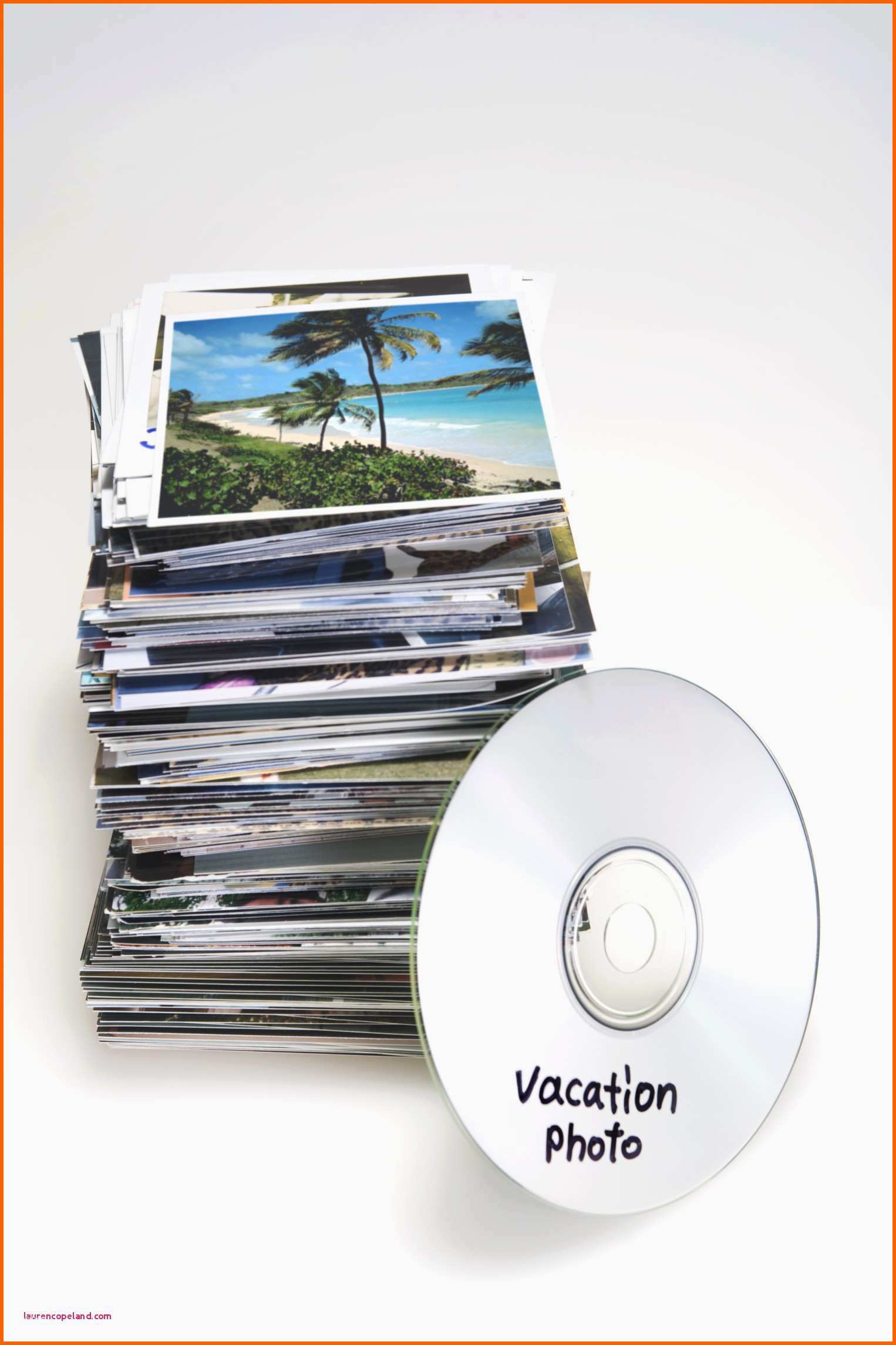 Ideal Mayspies Etiketten Vorlage Word formato Para Cd En Word