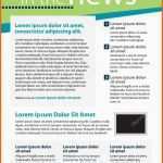 Ideal Newsletter Vorlagen Layout — Stockvektor