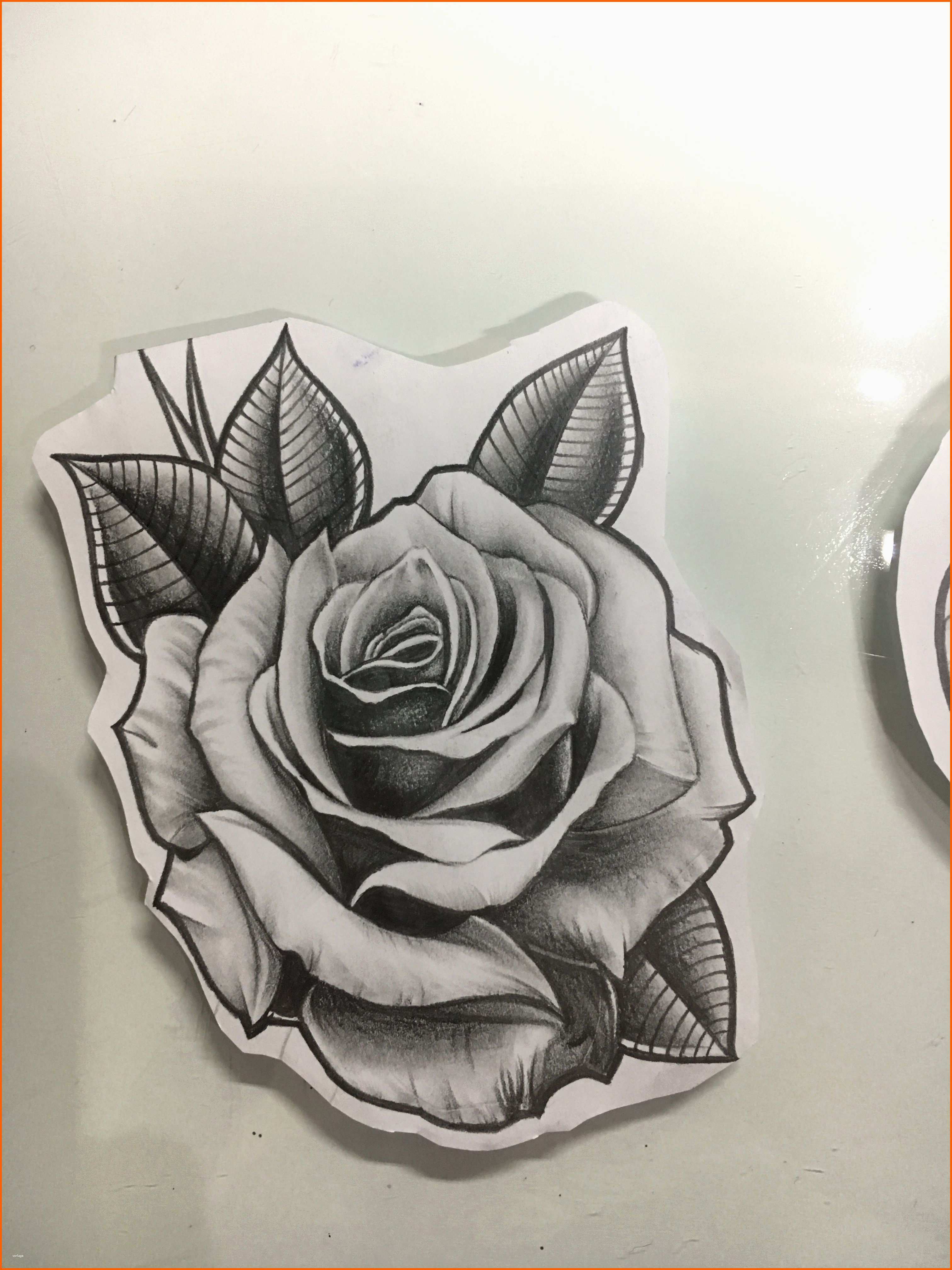 Ideal Pin De Danielpajuelo Pajuelo En Rose Tattoo