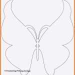 Ideal Schmetterling Frbung Vorlage Schmetterling Vorlage Zum
