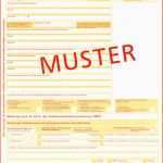 Ideal Sepa Berweisung Vorlage Cool Sepa Lastschriftmandat Muster