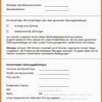 Ideal Sepa Lastschriftmandat Vorlage Sparkasse Schönste