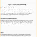 Ideal Vorlage Konzept Vorstellungsgespräch Pdf