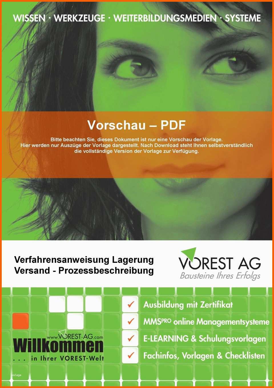 Vorschau pdf verfahrensanweisung lagerung versand prozessbeschreibung