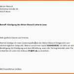 Kreativ Aktion Mensch Kündigen Vorlage Download Chip