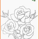 Kreativ Blumen Vorlagen 3 Draw Flowers Pinterest