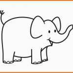 Kreativ Colorear Dibujo Elefante – Para Preescolar