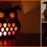 Kreativ Diy Vorlage Laterne Eule Basteln