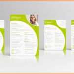 Kreativ Englischer Lebenslauf Mit Anschreiben Als Download Fuer