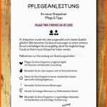 Kreativ Glückwunschkarte Hochzeit Vorlage – Various Vorlagen