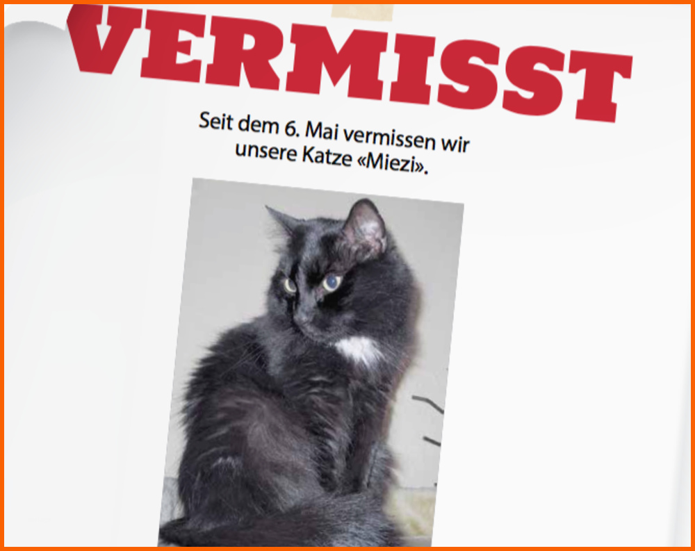 Kreativ Hilfe Unser Büsi ist Weg