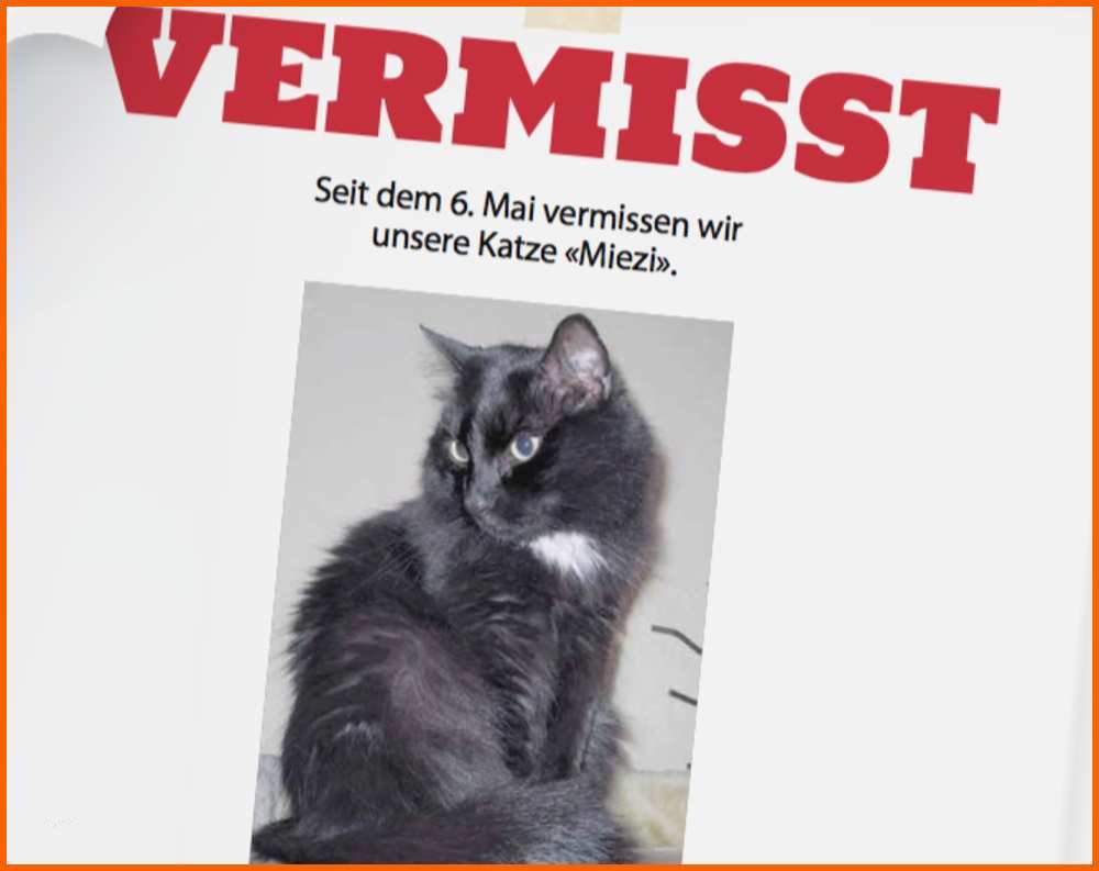 Kreativ Katzen Laterne Vorlage Malvorlage Hexe Fliegt Mit Katze