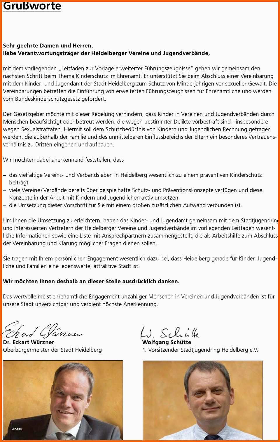 Kinderschutz im ehrenamt leitfaden fuer vereine und verbaende zur vorlage erweiterter fuehrungszeugnisse heidelberg de