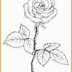 Kreativ Vom Bild Zum Stickmuster – Teil 1 Blumen