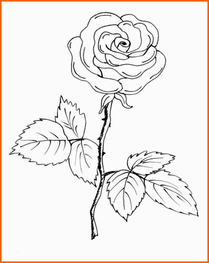 Kreativ Vom Bild Zum Stickmuster – Teil 1 Blumen