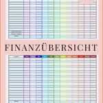 Limitierte Auflage 10 Haushaltsbuch Muster