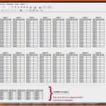 Limitierte Auflage 10 Lagerbestand Excel Vorlage