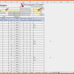 Limitierte Auflage 12 Bautagebuch Muster