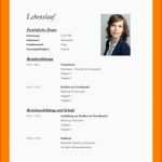Limitierte Auflage 13 Lebenslauf Vorlage Openoffice
