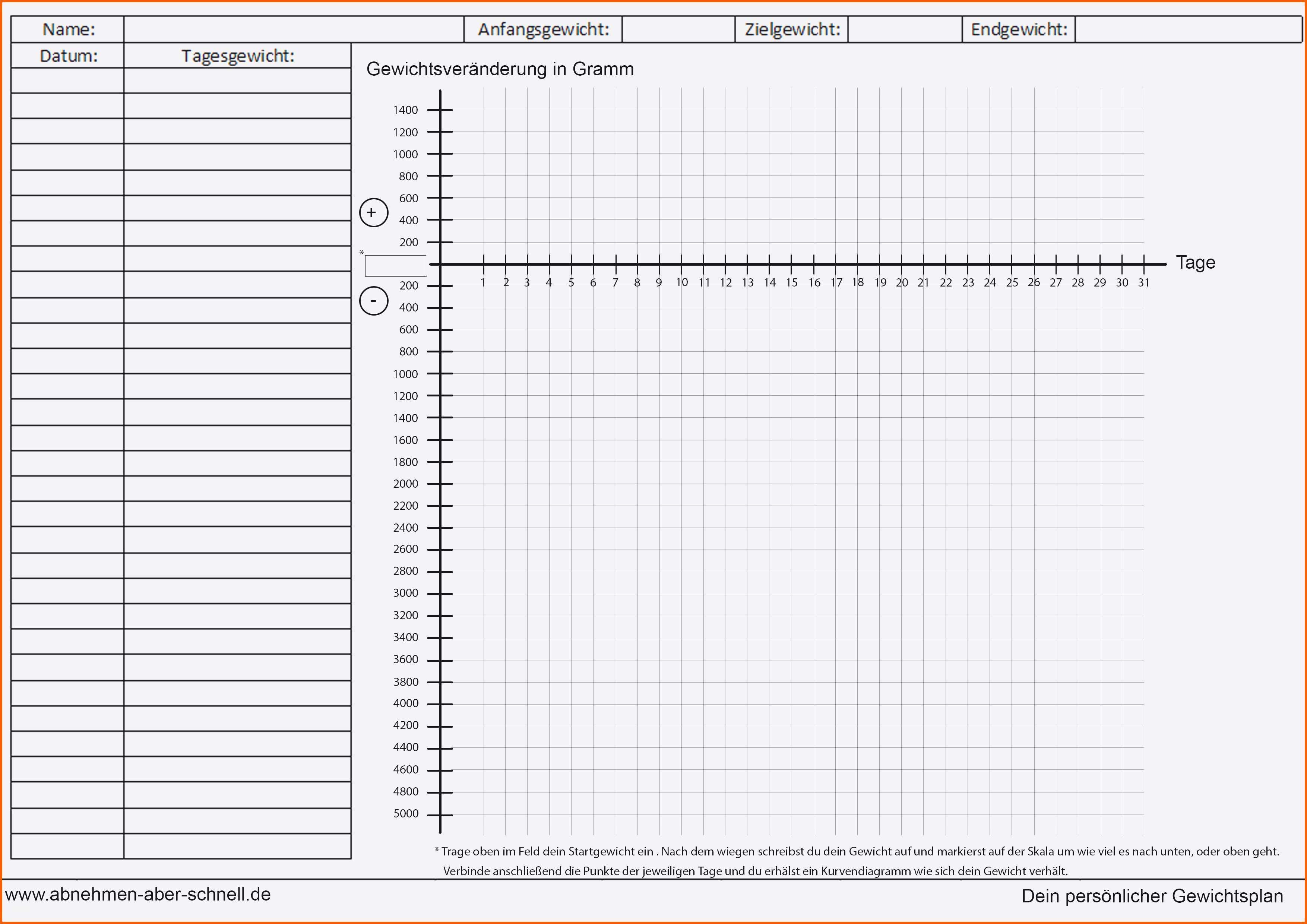 Limitierte Auflage 15 Arbeitsplan Vorlage Pdf