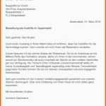 Limitierte Auflage 15 Motivationsschreiben Vorlage Gratis