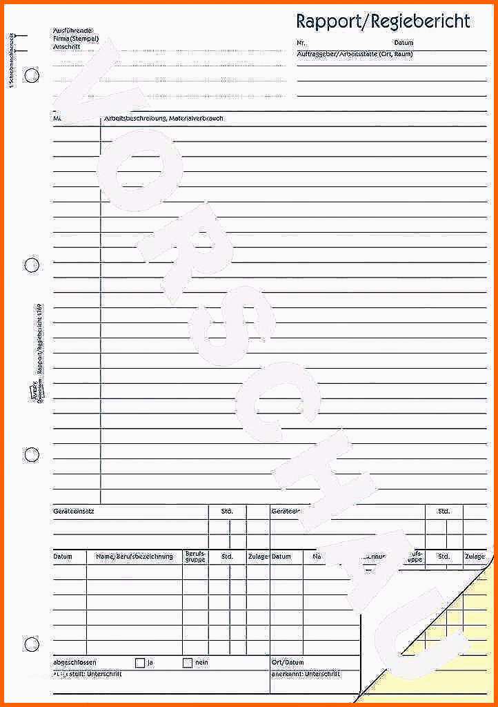 Limitierte Auflage 16 Regiebericht Vorlage | Kostenlos Vorlagen