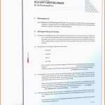 Limitierte Auflage 16 Vorlage Auftragserteilung