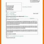 Limitierte Auflage 19 Din Vorlage Word Offizieller Brief