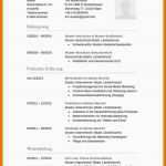 Limitierte Auflage 19 Tabellarischer Lebenslauf Muster 2015