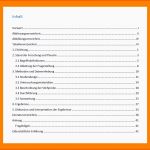 Limitierte Auflage 7 Zeitplan Bachelorarbeit Vorlage