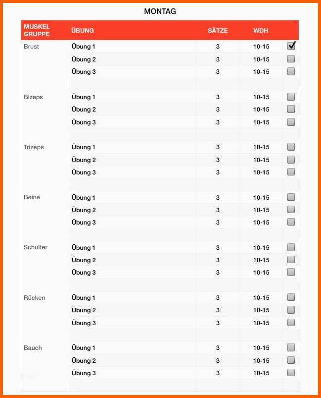 Limitierte Auflage 8 Trainingsplan Pferd Vorlage