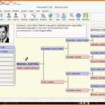 Limitierte Auflage Ahnenblatt Download Chip