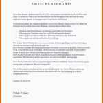 Limitierte Auflage Arbeitszeugnis Vorlage Word Awesome Biografiearbeit Muster