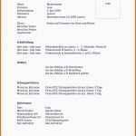 Limitierte Auflage Biografie Schreiben Muster Ideen Biografie Vorlage Für