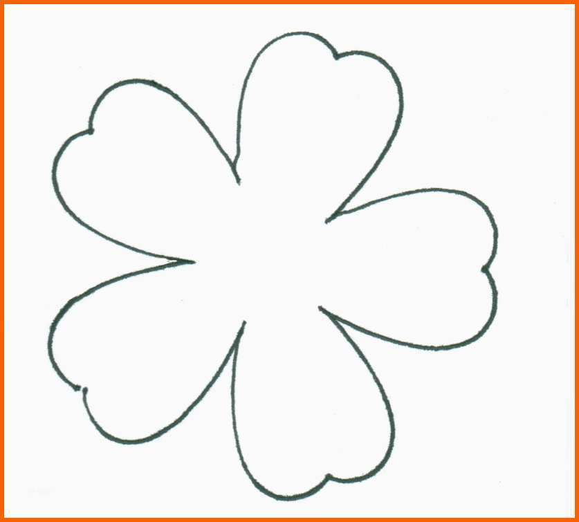 Limitierte Auflage Blumen Basteln
