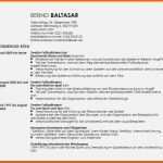 Limitierte Auflage [einfacher Tabellarischer Lebenslauf] 100 Images 15
