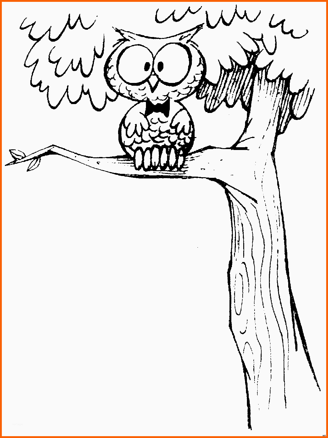 Limitierte Auflage Eule Auf Einem Baum Ausmalbild & Malvorlage Ics