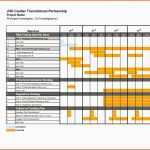 Limitierte Auflage Gantt Chart Excel Vorlage