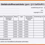 Limitierte Auflage Gefahrstoffkataster Vorlage