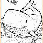 Limitierte Auflage Jona Im Wal Ausmalbilder Jonah In the Whale Coloring Pages