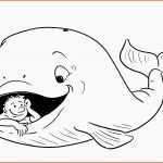 Limitierte Auflage Jona Im Wal Ausmalbilder Jonah In the Whale Coloring Pages