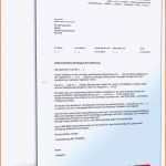 Limitierte Auflage Kundigung Strom Umzug Vorlage Absender Adressat