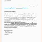 Limitierte Auflage Lebenslauf Anschreiben Tipps Schn Lebenslauf Muster Xing