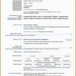 Limitierte Auflage Lebenslauf Englisch Muster Design