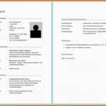 Limitierte Auflage Lebenslauf In Word Erstellen Professioneller Lebenslauf