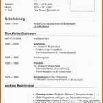 Limitierte Auflage Lebenslauf Schüler Vorlage Word Erstaunlich Einfacher