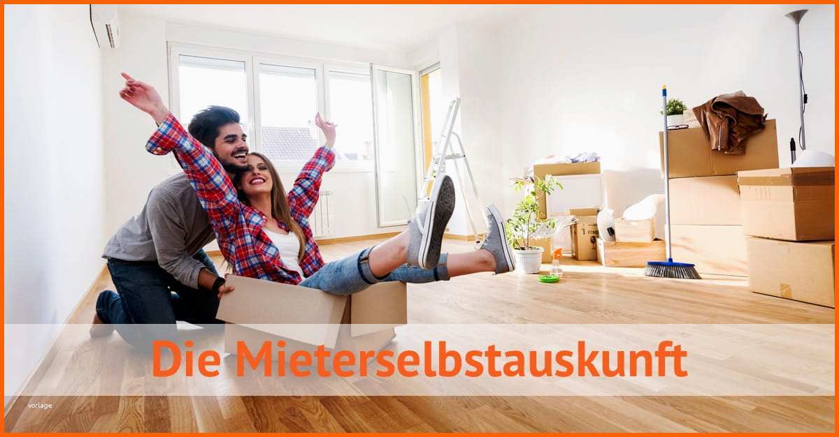 Limitierte Auflage Mieterselbstauskunft 2019 formular Als Doc & Pdf