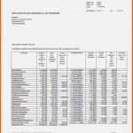 Limitierte Auflage Nebenkostenabrechnung Excel Vorlage Download Erstaunlich