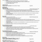 Limitierte Auflage Openoffice Lebenslauf Vorlage Lebenslauf Layout Word Schön